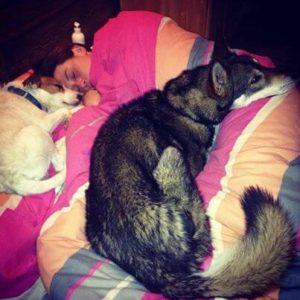 Sandrine et ses chiens